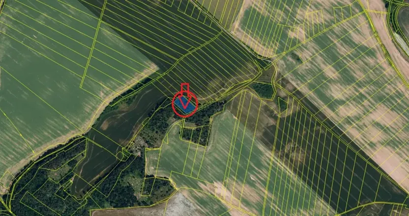 Prodej lesa, Prokopov, 2228 m2