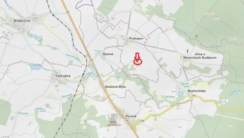 Prodej lesa, Prokopov, 2228 m2