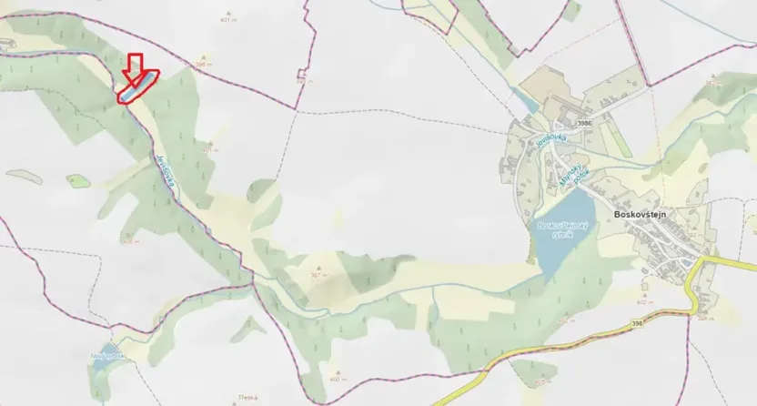 Prodej podílu lesa, Boskovštejn, 1959 m2