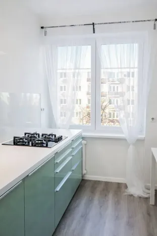 Pronájem bytu 2+kk, Praha - Žižkov, Pod lipami, 54 m2