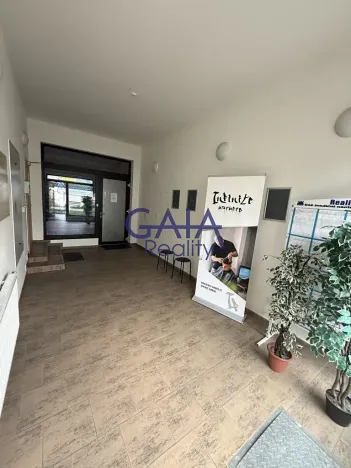 Pronájem obchodního prostoru, Hodonín, Příční, 364 m2