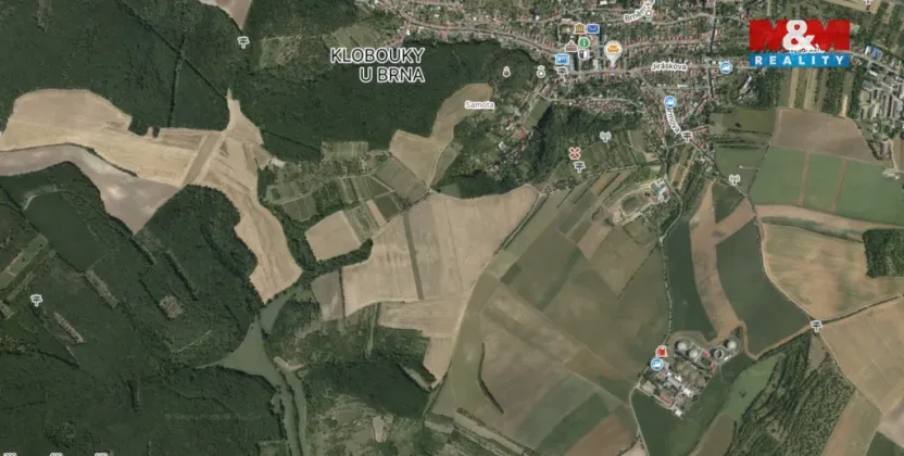 Prodej lesa, Klobouky u Brna, 11688 m2