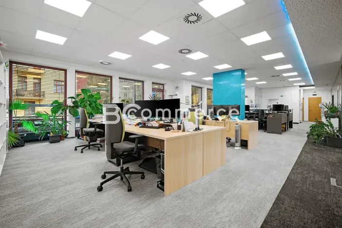 Pronájem kanceláře, Brno, Hlinky, 230 m2