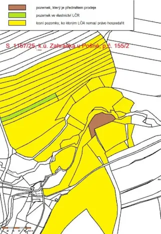 Prodej lesa, Pošná, 3636 m2