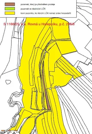 Prodej lesa, Rovná, 2569 m2