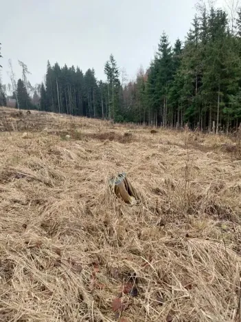 Prodej lesa, Široký Důl, 1408 m2