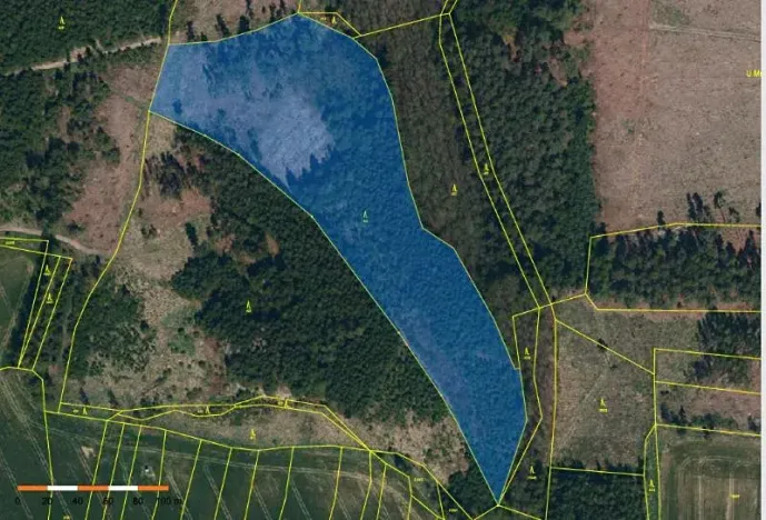 Prodej lesa, Chýstovice, 24882 m2