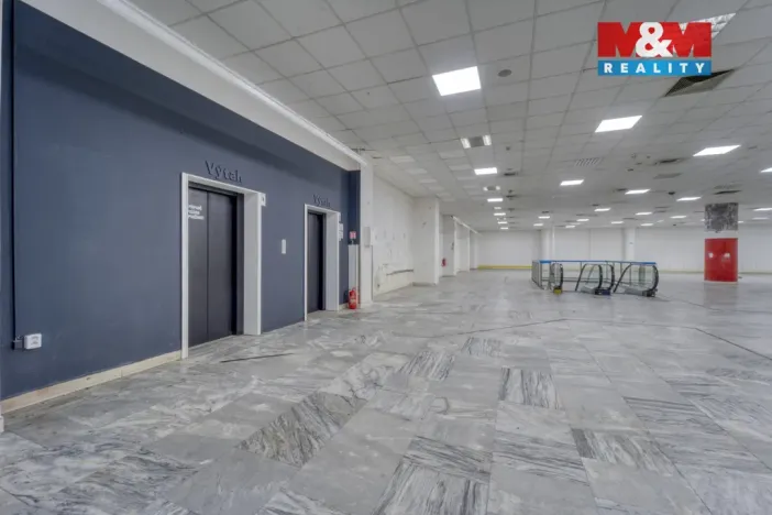 Pronájem obchodního prostoru, Plzeň - Východní Předměstí, Americká, 1603 m2