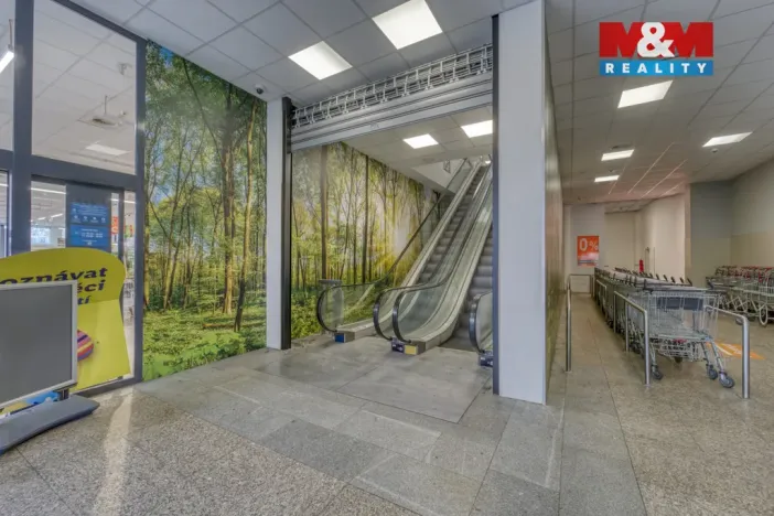 Pronájem obchodního prostoru, Plzeň - Východní Předměstí, Americká, 1603 m2