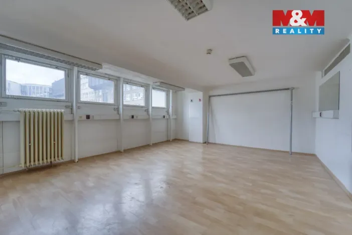 Pronájem obchodního prostoru, Plzeň - Východní Předměstí, Americká, 1603 m2