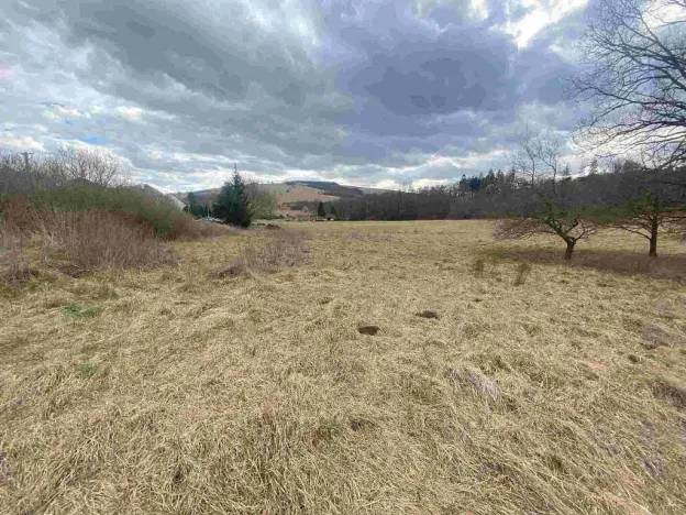 Prodej pole, Javorník, 664 m2