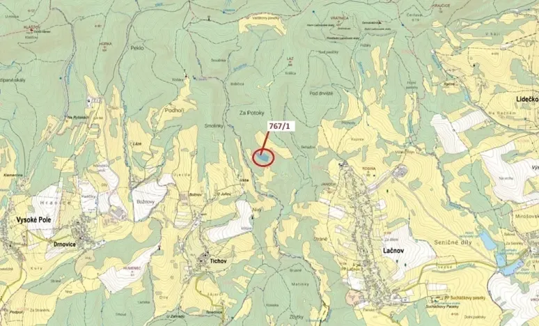 Dražba lesa, Lačnov, 12637 m2