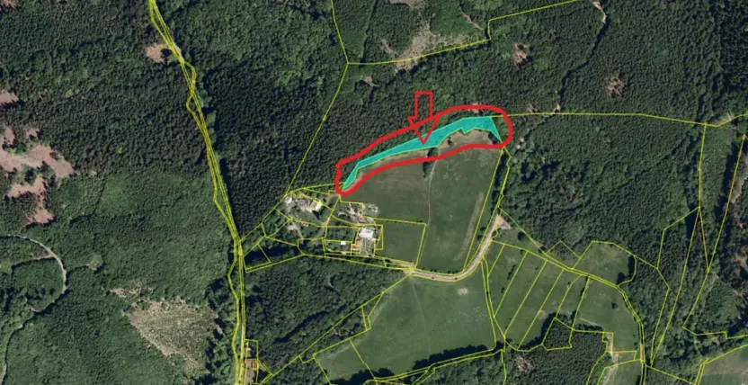 Prodej lesa, Vlčková, 3331 m2