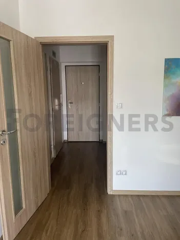 Pronájem bytu 1+kk, Hradec Králové, Svatojánská, 36 m2