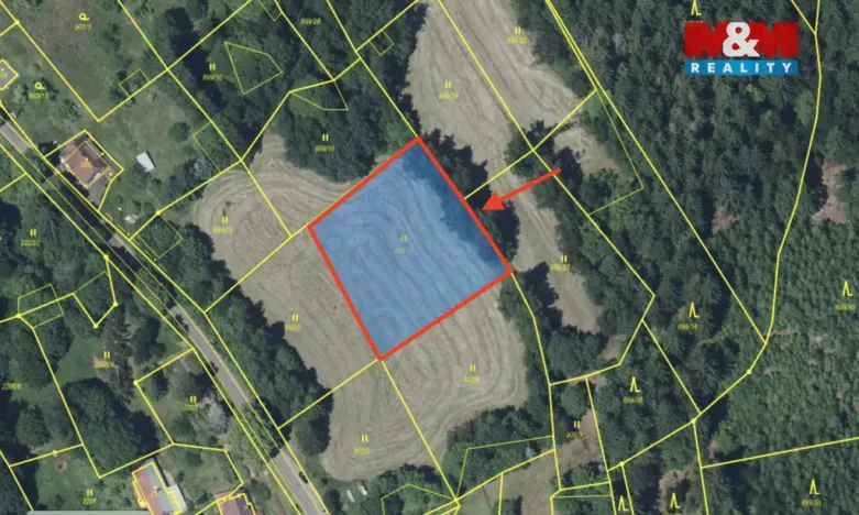 Prodej louky, Tanvald - Šumburk nad Desnou, 2029 m2