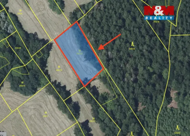 Prodej louky, Tanvald - Šumburk nad Desnou, 1444 m2