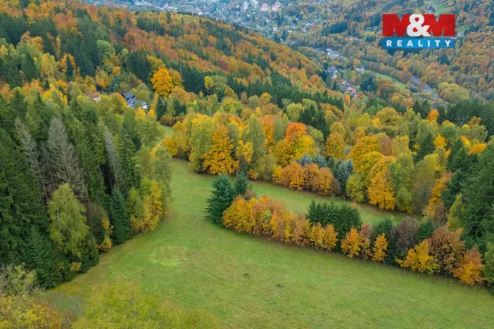 Prodej louky, Tanvald - Šumburk nad Desnou, 1444 m2