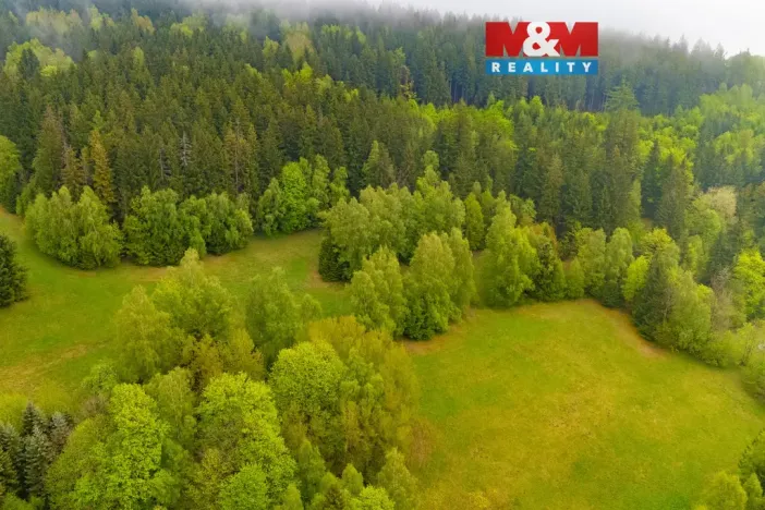 Prodej louky, Tanvald - Šumburk nad Desnou, 1444 m2