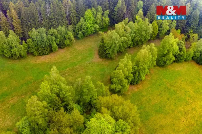 Prodej louky, Tanvald - Šumburk nad Desnou, 1444 m2