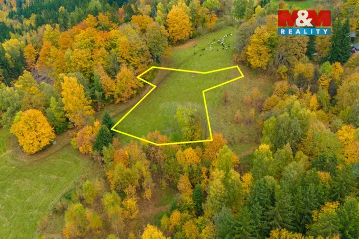 Prodej louky, Tanvald - Šumburk nad Desnou, 1589 m2