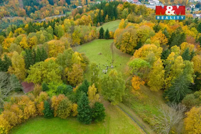 Prodej louky, Tanvald - Šumburk nad Desnou, 1589 m2