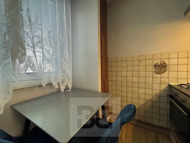 Pronájem bytu 1+1, Brno, Vídeňská, 43 m2