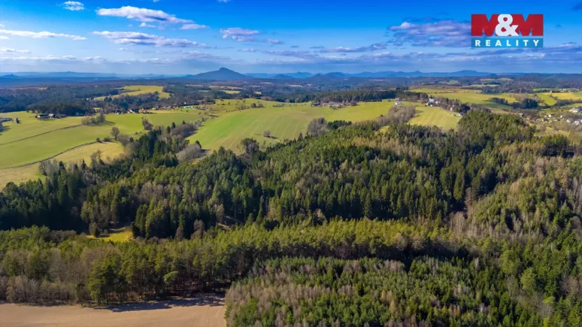 Prodej lesa, Všelibice - Přibyslavice, 23199 m2
