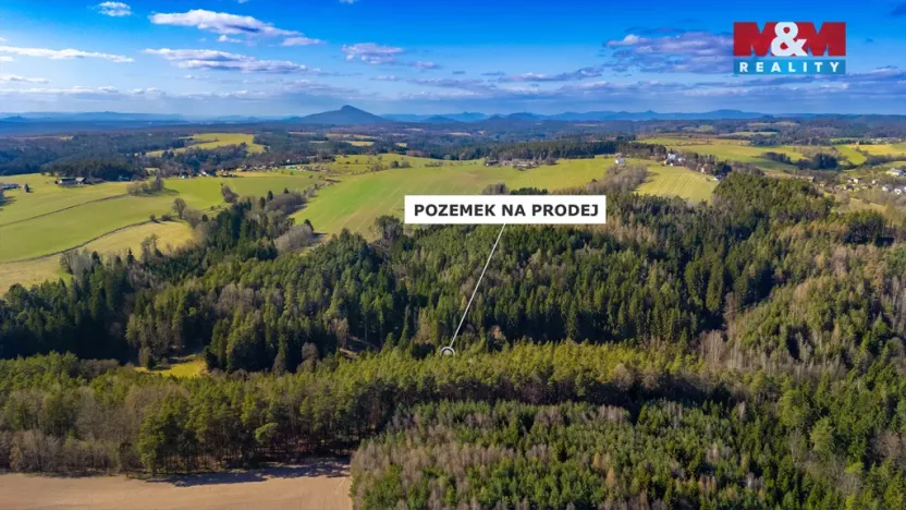 Prodej lesa, Všelibice - Přibyslavice, 23199 m2