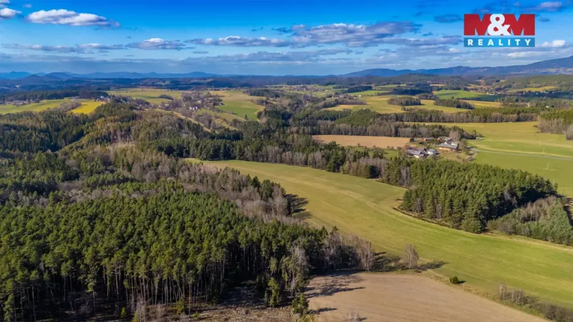Prodej lesa, Všelibice - Přibyslavice, 23199 m2