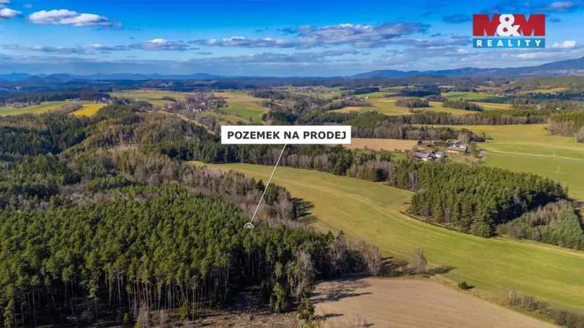 Prodej lesa, Všelibice - Přibyslavice, 23199 m2