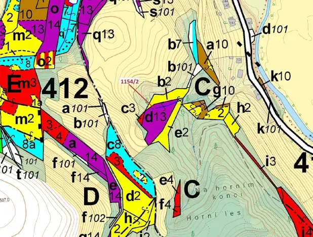Dražba lesa, Letohrad, 3699 m2