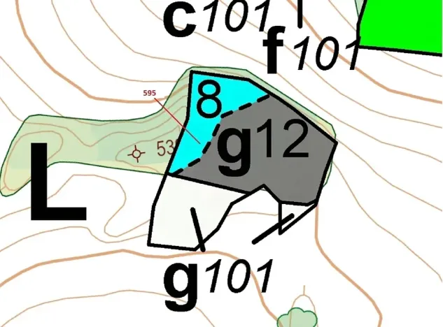 Dražba lesa, Manětín, 4801 m2