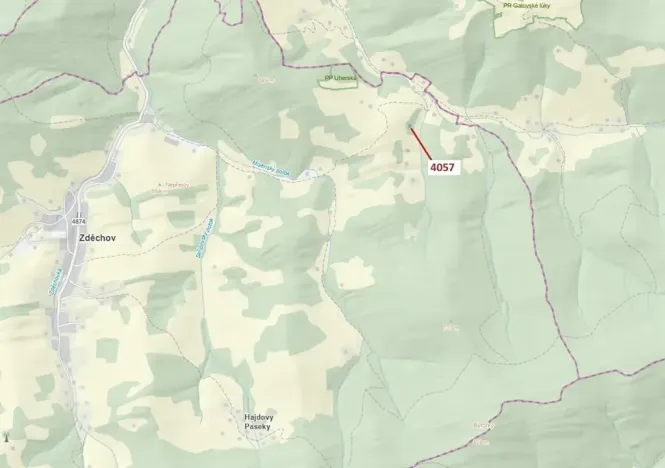 Dražba lesa, Zděchov, 435 m2