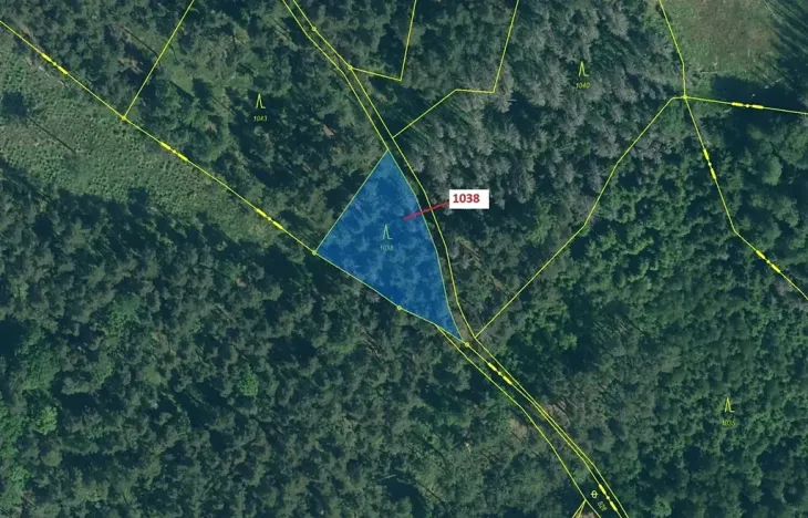 Dražba lesa, Hradiště, 1028 m2