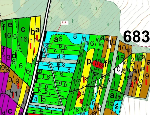 Dražba lesa, Vesce, 682 m2