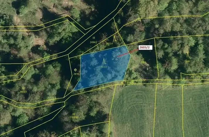 Dražba lesa, Zděchov, 1036 m2