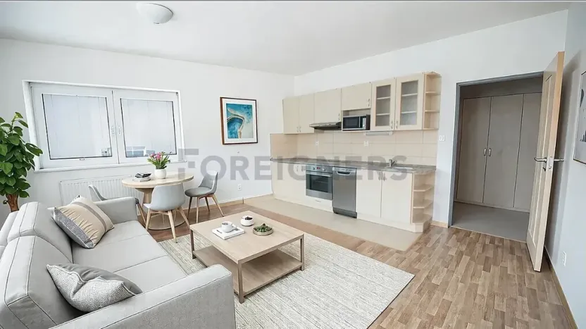 Pronájem bytu 2+kk, Brno, Jemelkova, 48 m2