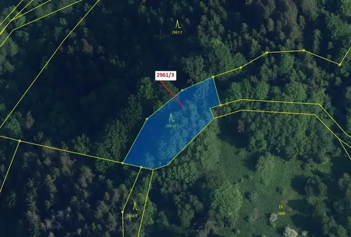 Dražba lesa, Český Dub, 1217 m2