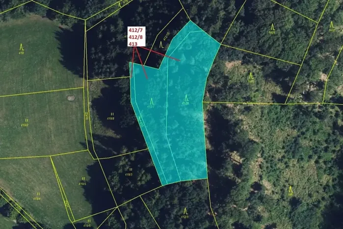 Dražba lesa, Vranová Lhota, 3744 m2