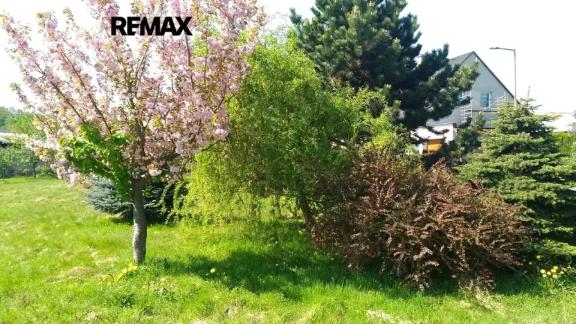 Prodej zahrady, Mikulovice, 1350 m2