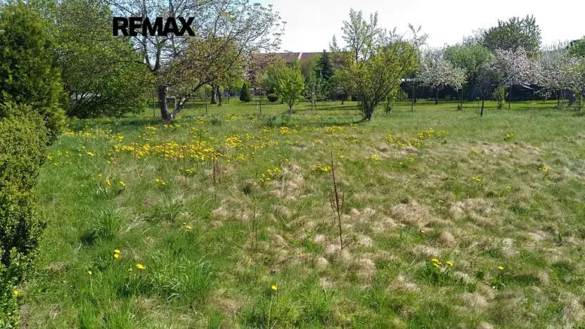 Prodej zahrady, Mikulovice, 1350 m2