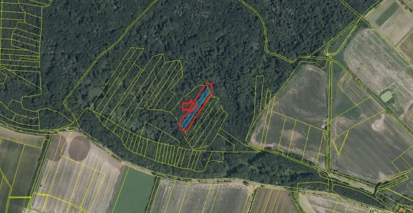 Prodej lesa, Přerov nad Labem, 2268 m2