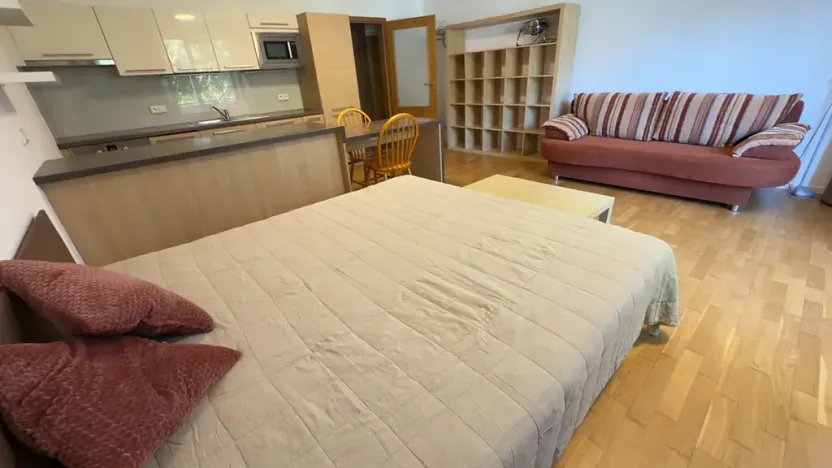 Pronájem bytu 1+kk, Brno, Vinohrady, 38 m2