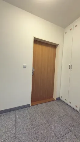 Pronájem bytu 1+kk, Brno, Vinohrady, 38 m2