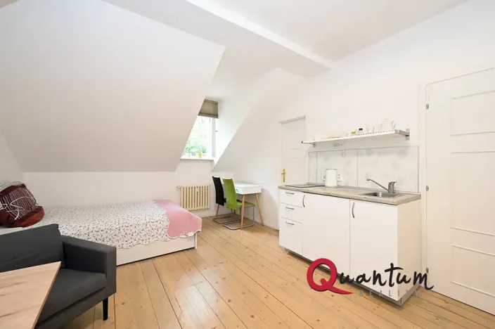 Pronájem bytu 1+kk, Praha - Smíchov, U Pernikářky, 23 m2