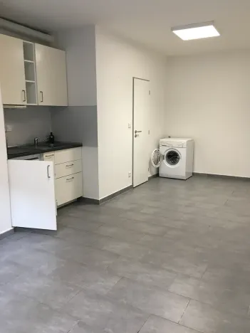 Pronájem bytu 1+kk, Brno, Křenová, 25 m2