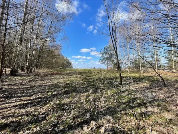 Prodej pozemku pro bydlení, Morašice, 870 m2