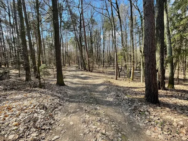 Prodej pozemku pro bydlení, Morašice, 870 m2