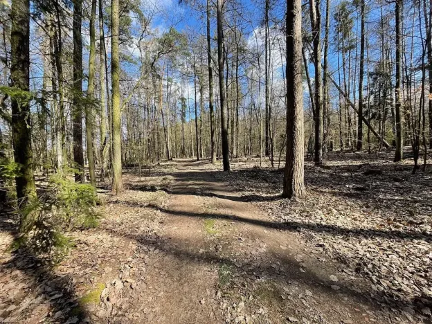 Prodej pozemku pro bydlení, Morašice, 870 m2