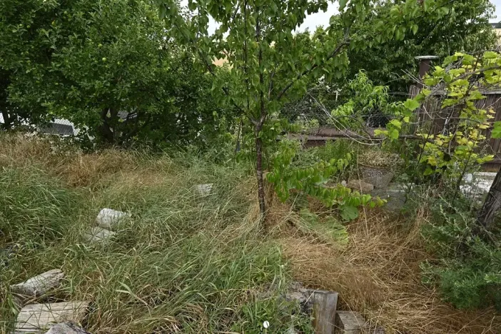 Dražba - jiné, Znojmo, 110 m2